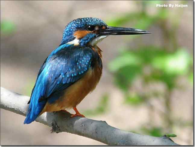  点击图片或使用键盘← →翻页