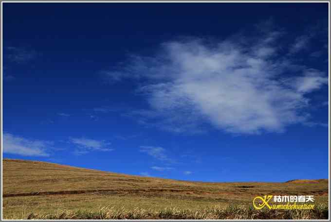 云南大山包—黑颈鹤的天堂【照片】