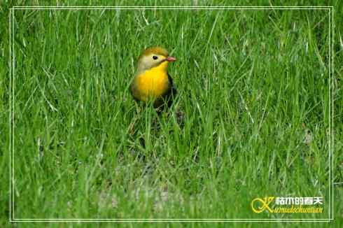鈥溎袢蒜澋木适澜纭菊掌