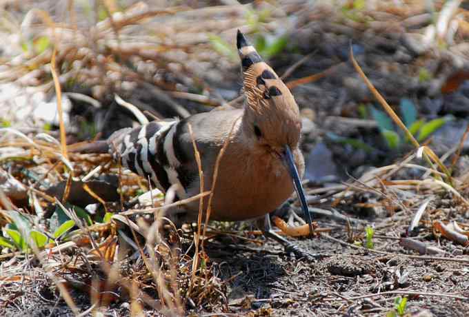 让偶一次拍个够