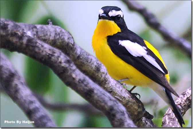  点击图片或使用键盘← →翻页