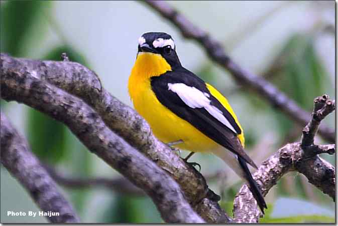  点击图片或使用键盘← →翻页