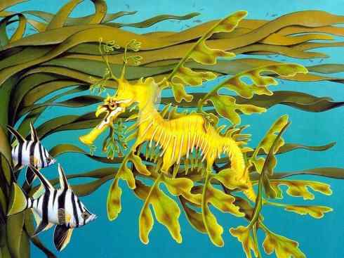 美人鱼：传说的兽原型探秘（儒艮）