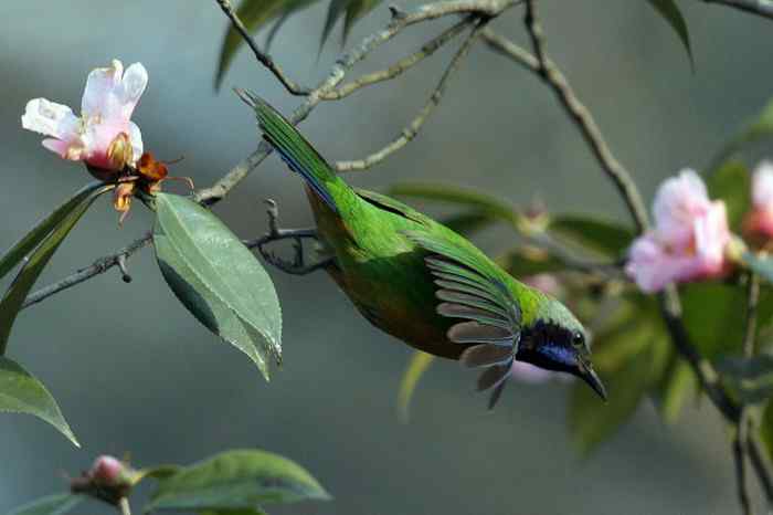 杭州老郑摄影续 杭州老郑摄影续