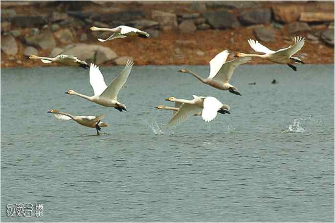  点击图片或使用键盘← →翻页