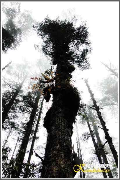 烟雨朦朦的瓦屋高原(瓦屋山系列二)【照片】 烟雨朦朦的瓦屋高原(瓦屋山系列二)【照片】