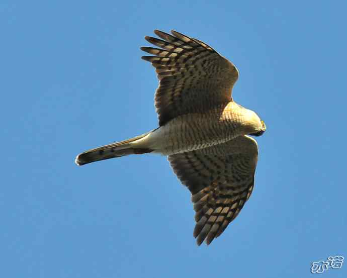 北京西山&nbsp;wbr路2010-10-12望京楼