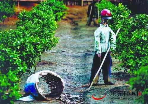 中国乡间农民的大地艺术