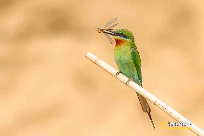 失而复得的鈥溊鹾矸浠⑩ 失而复得的鈥溊鹾矸浠⑩