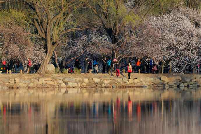 清明假日惬意的午后时光