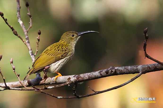 记录鈥溛票巢吨肽疋
