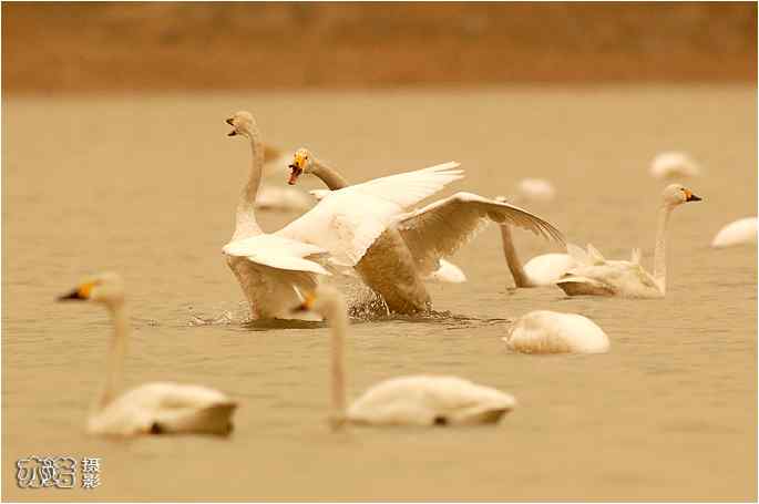  点击图片或使用键盘← →翻页