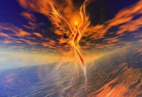 凤凰:传说的鸟 凤凰:传说的鸟