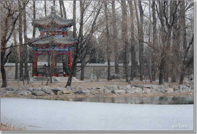 参加自然之友观鸟活动