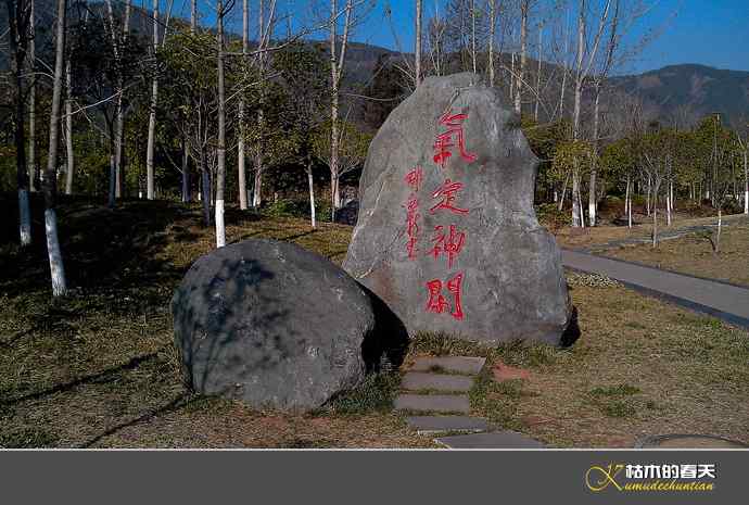 气定神闲“红嘴鸥”