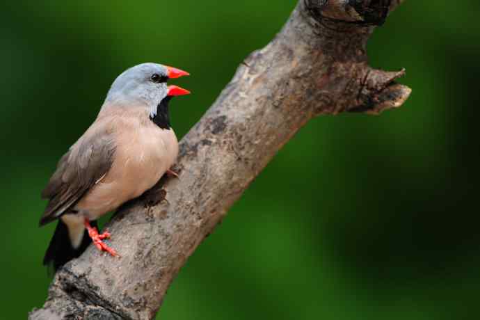 不要问我从哪里来 wbr我的故乡在远方