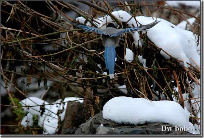 点击图片或使用键盘← →翻页