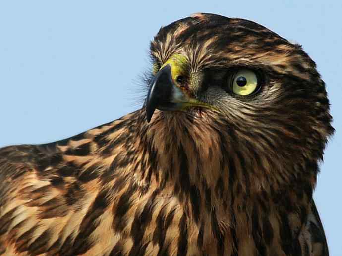 菜鸟荟萃 菜鸟荟萃