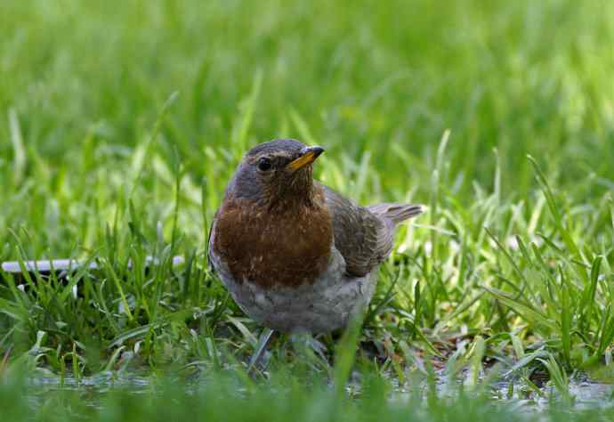 向博友老K致敬 向博友老K致敬