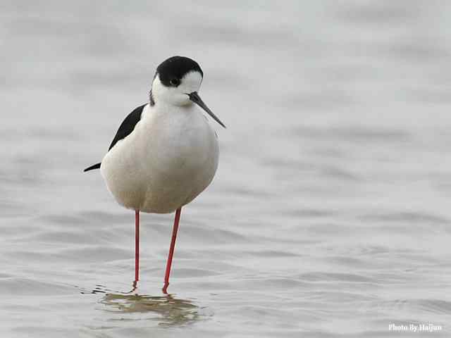 我憧憬那湾碧水 wbr. wbr我流连那片土地