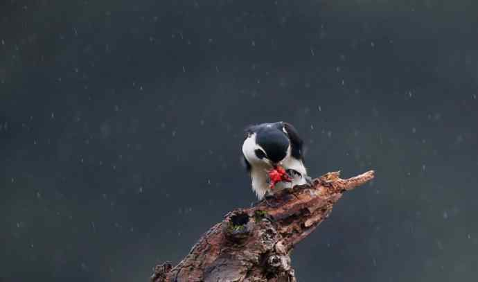 初冬婺源一日印象