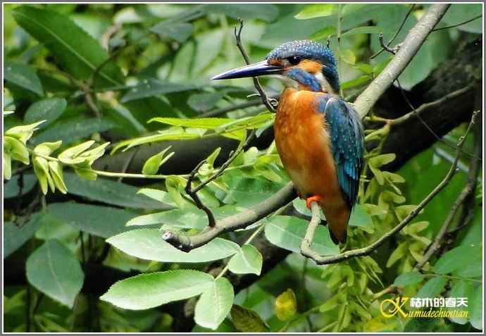 鈥溞〈溻澒槔础菊掌