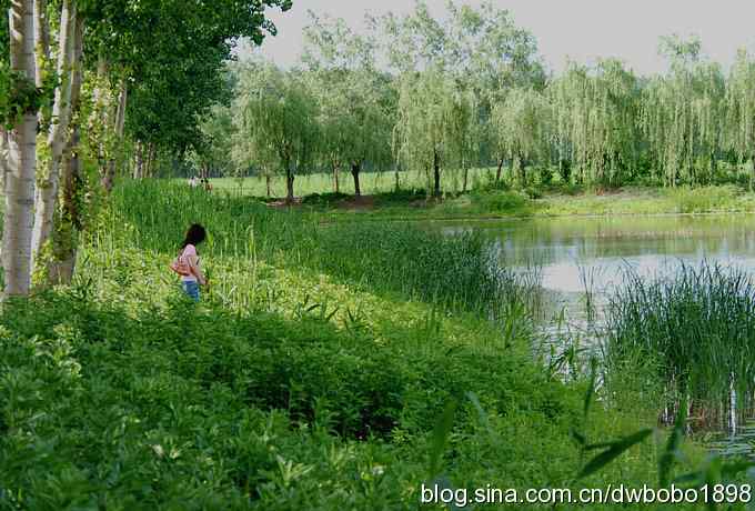 四渡汉石桥 湿地好云天