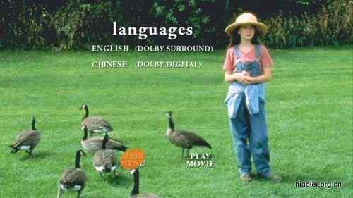 影评：返家十万里Fly Me Home