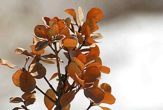 兴趣从这里开始(植物园)