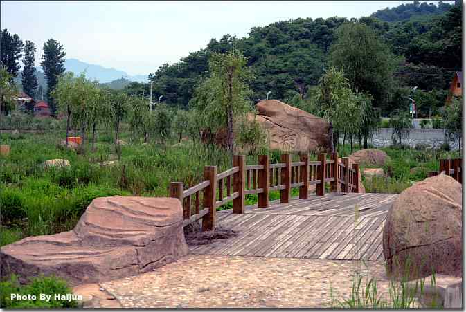 怀沙河湿地可以有