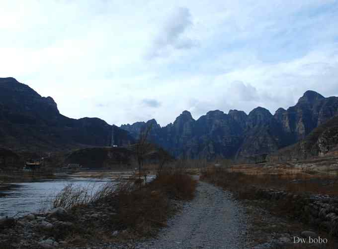 拒马河偶遇黑巨鸡