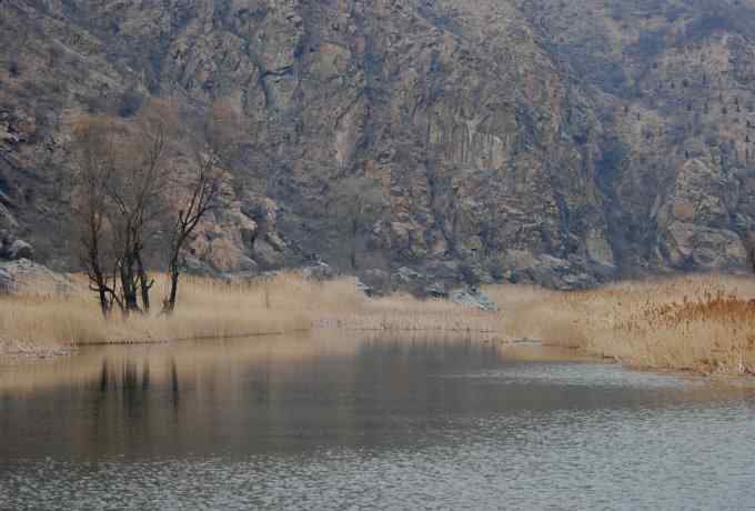 珍珠湖观鸟郊游