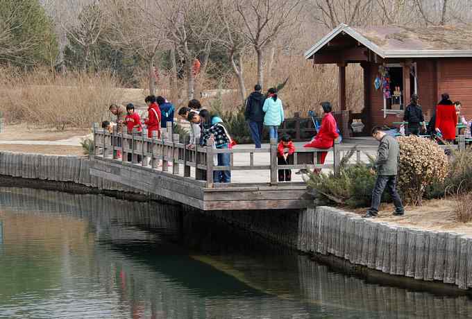 三只小鸟 满园春色