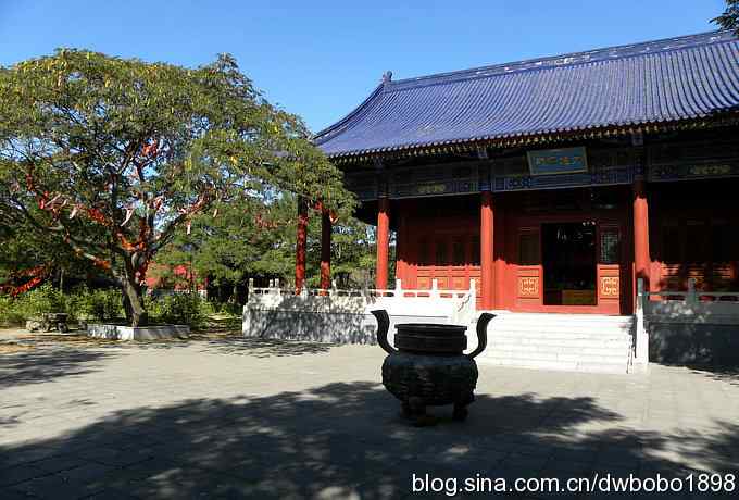 菩提岛：人文景观和观鸟基地