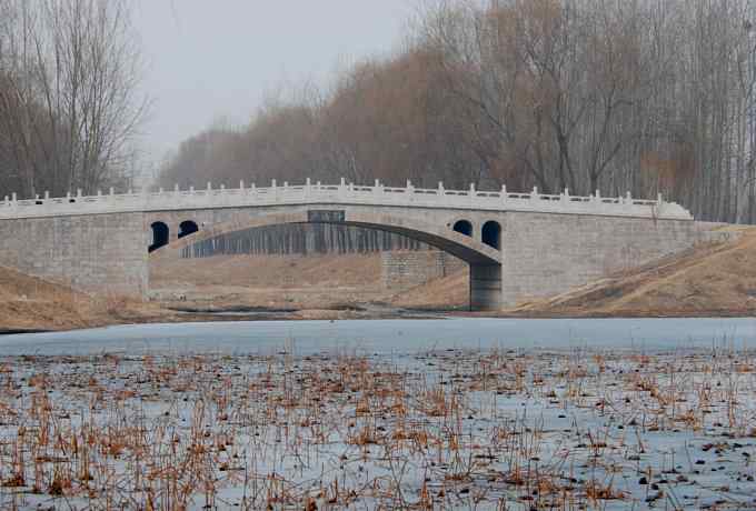 汉石桥湿地的斑嘴鸭