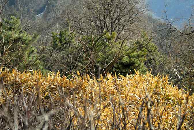 兴趣从这里开始(植物园)