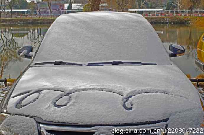 雪景中小翠拜年、鸊鷉的年夜饭