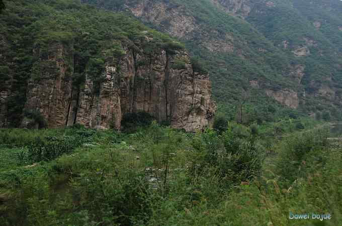 绿翅鸭.永定河峡谷红翅旋壁雀记录